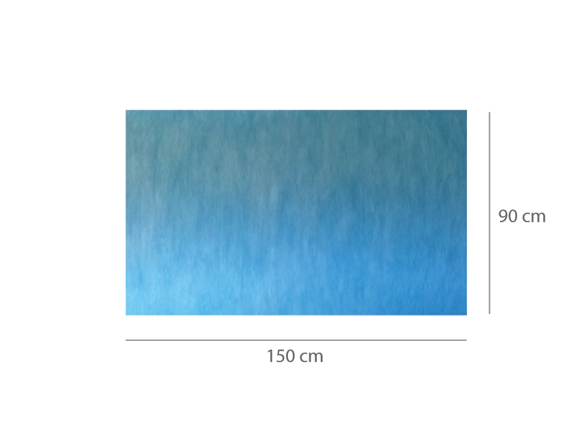 TAPPETINO ASSORBENTE IMPERMEABILE PRETAGLIATO 90 x 150 cm
